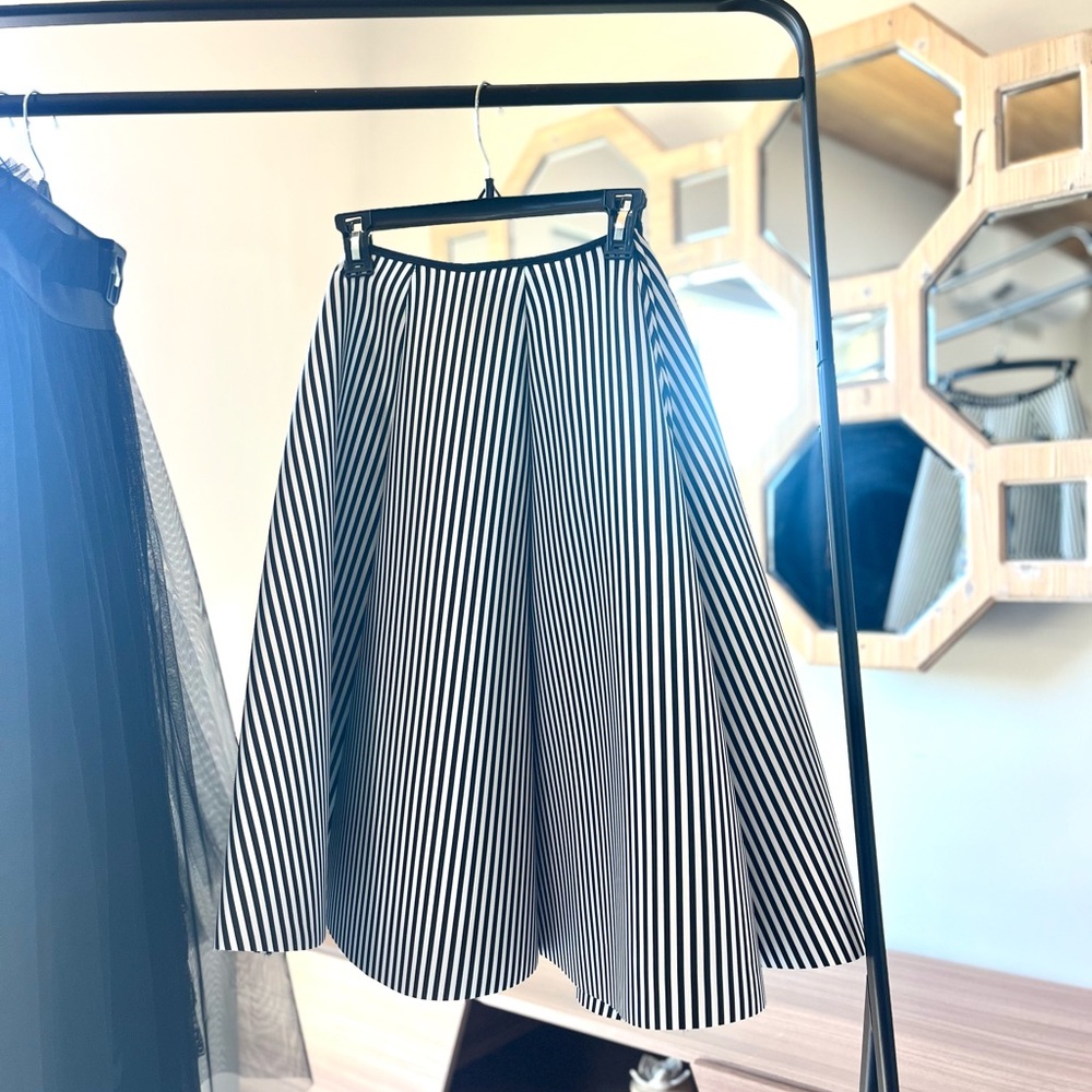 Free shipping! FUN 50s / 60s Big Skirt! 🎉